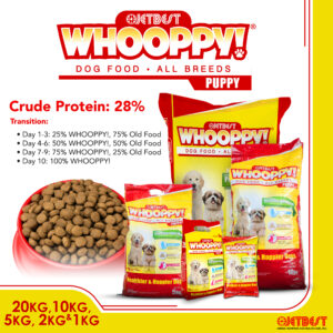 Whooppy Puppy Jetbest