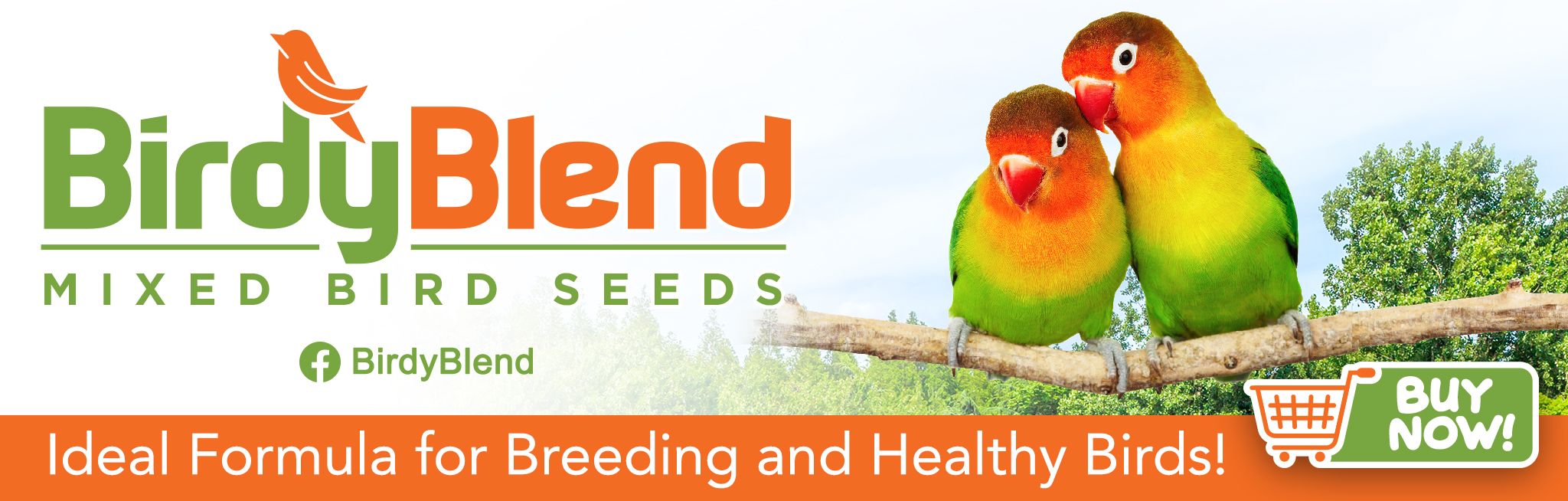 birdyblend jetbest banner