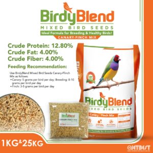 BirdyBlend Canary Jetbest
